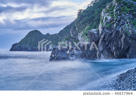 Pink Bird Forest Coast Scenery Pink Bird Forest Coast Scenery 40837964