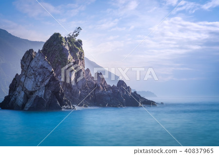 Pink Bird Forest Coast Scenery Pink Bird Forest Coast Scenery 40837965