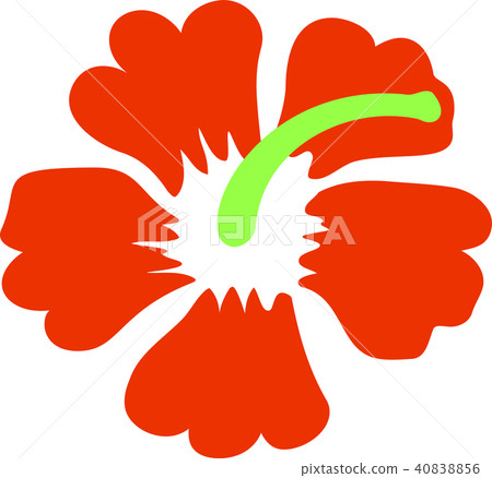 Hibiscus flower illustration Hibiscus flower illustration 40838856