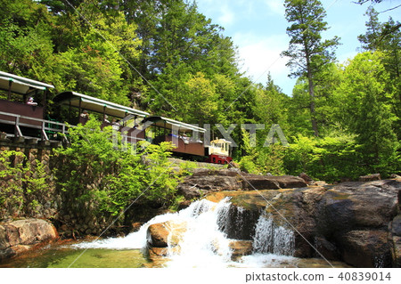 Akazawa Forest Railway 40839014