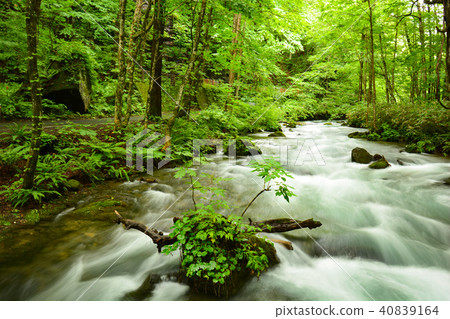 青森Oiru Azease山間溪流 40839164