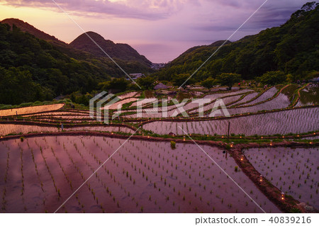 Izu Ishibe的Tanada Matsuzaki 40839216