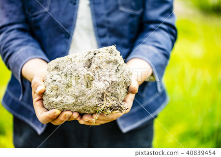 People hold large lumps of clay in the field with hands People hold large lumps of clay in the field with hands 40839454