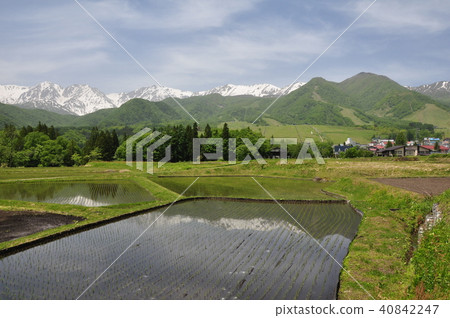 白馬山牧場 40842247