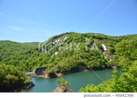 烤石海灘線春天風景 烤石海灘線春天風景 40842366