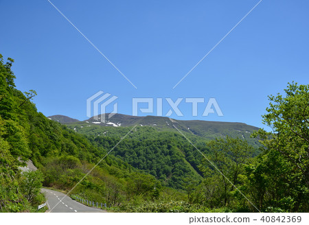 烤石海灘線春天風景 烤石海灘線春天風景 40842369