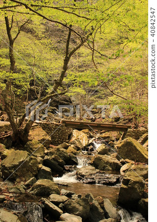 Nasushiobara · Waterfall of Ryuusuke (Ryuusa no Taki walking trail) Nasushiobara · Waterfall of Ryuusuke (Ryuusa no Taki walking trail) 40842547
