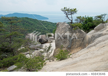 贊岐廣島的浮動花園 40843646