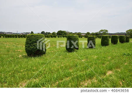 Second largest podium 40843656