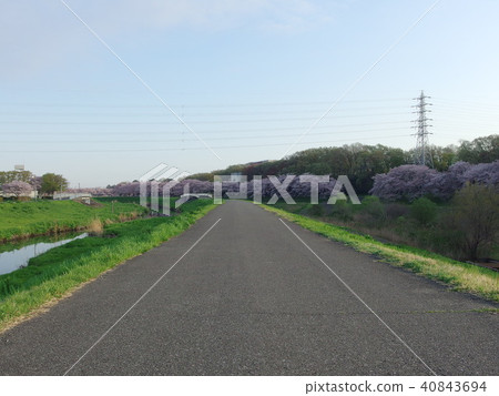 Scenery in the vicinity of Saitama-shi Omiya gymnasium Spring Scenery in the vicinity of Saitama-shi Omiya gymnasium Spring 40843694