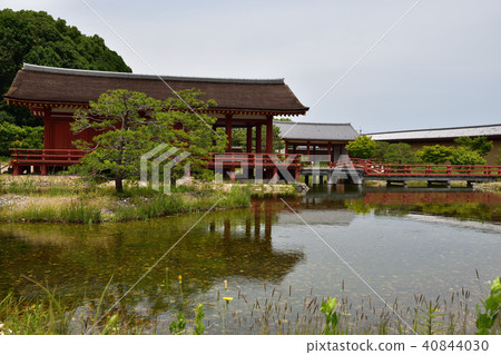Higashi-in Garden (Pond and blue sky) 40844030