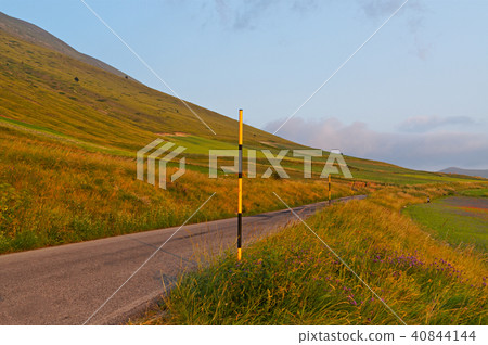 lentils blooms in Castelluccio. Italy  40844144