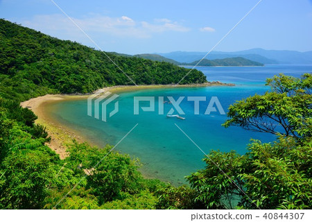 <Takeijima Island> Beautiful sea urchin sea 01 <Takeijima Island> Beautiful sea urchin sea 01 40844307