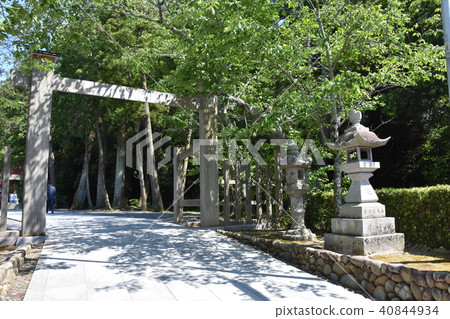 Law Tama Tadashi Eiji寺 Law Tama Tadashi Eiji寺 40844934