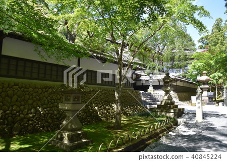 Law Tama Tadashi Eiji temple 40845224