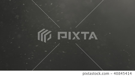 dust particles floating over black background with motion blur 40845414
