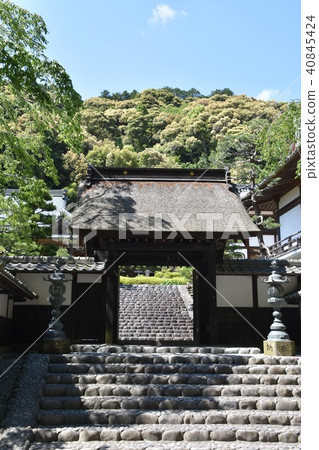 Law Tama Tadashi Eiji寺 Law Tama Tadashi Eiji寺 40845424
