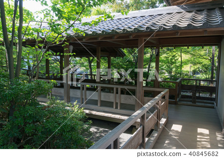 姬路城堡在公園裡 40845682