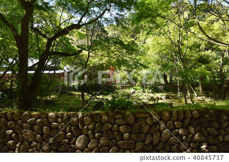 Law Tama Tadashi Eiji temple Law Tama Tadashi Eiji temple 40845737