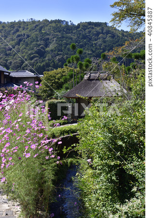 Saga Torii Imoto Important Traditional Building Group Preservation District Cosmos 40845887