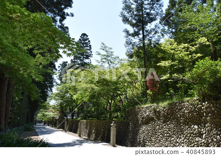 Law Tama Tadashi Eiji temple Law Tama Tadashi Eiji temple 40845893