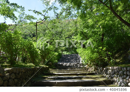 Law Tama Tadashi Eiji寺 Law Tama Tadashi Eiji寺 40845896