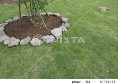 草皮一側的花園 40845954