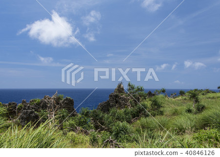 蘭嶼站在礁岩峭壁上的山羊 蘭嶼站在礁岩峭壁上的山羊 40846126