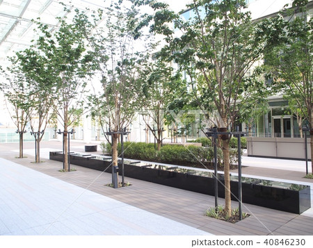 Musubu Tamachi Musubu Tamachi 40846230