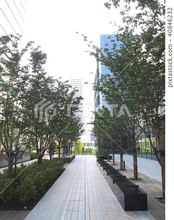 Musubu Tamachi Musubu Tamachi 40846232