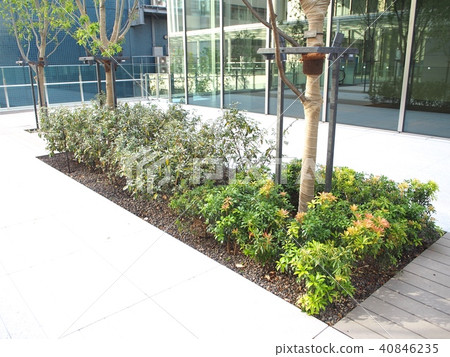 Musubu Tamachi Musubu Tamachi 40846235