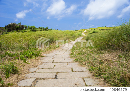 Lanyu's vast green grassland Lanyu's vast green grassland 40846279