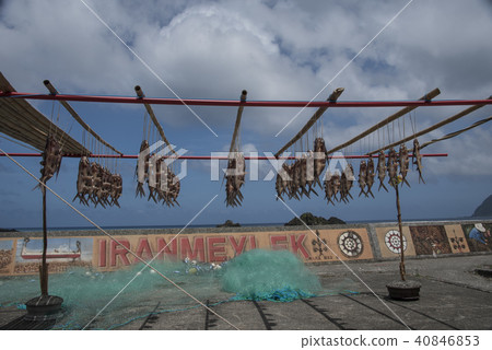 Lanyu flying fish season dried fish Lanyu flying fish season dried fish 40846853