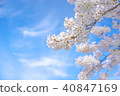 櫻花ver17 40847169