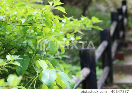 Unzen Promenade Unzen Promenade 40847887