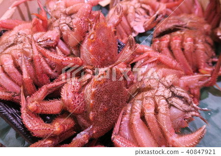 Hair to Hair to 40847921