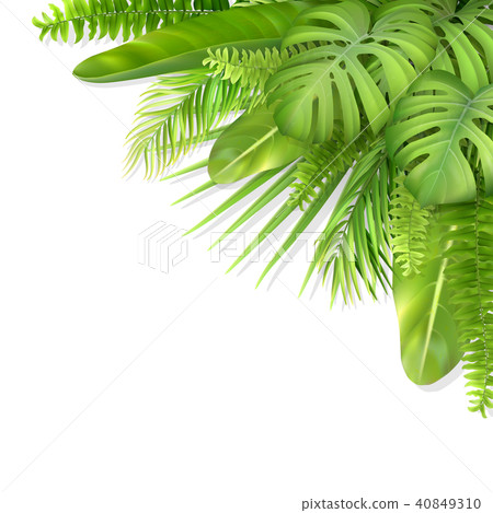 Tropical leaves in a corner Tropical leaves in a corner 40849310
