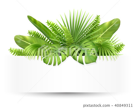 banner with tropical leaves 40849311