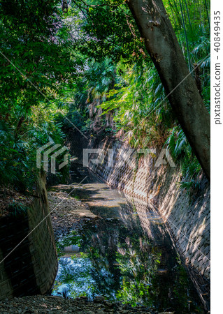 [Tokyo] Yutozumi Valley 40849435