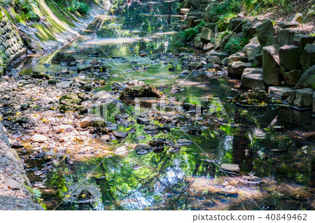 [Tokyo] Yutozumi Valley 40849462