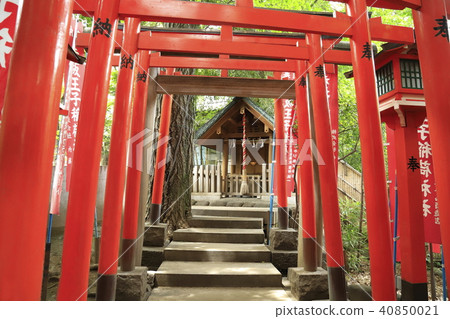 Nogi Shrine Akasaka Oji Inari Shrine Torii Minato-ku, Tokyo Nogi Shrine Akasaka Oji Inari Shrine Torii Minato-ku, Tokyo 40850021
