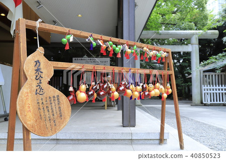 Nogi Shrine Akasaka Oji Inari Shrine Minato-ku，Tokyo 40850523