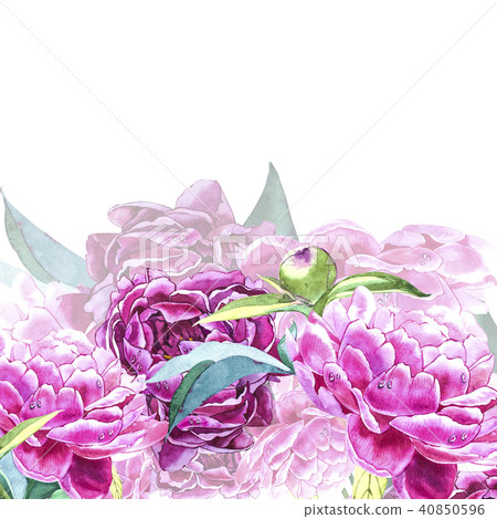 Vintage peony template. Watercolor illustration. Design elements for cards, invitations and textile Vintage peony template. Watercolor illustration. Design elements for cards, invitations and textile 40850596