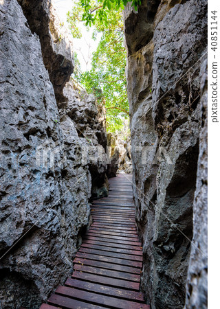 Wooden bridge in the narrow gorge 40851144