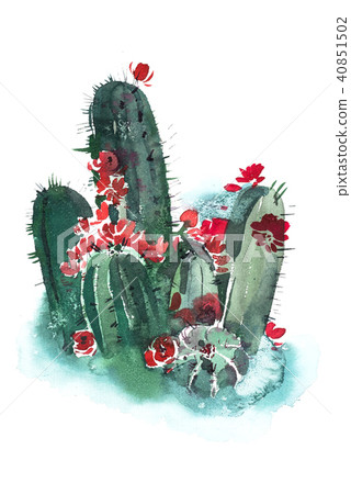 Watercolor hand drawn spiky cactus bloom flower. 40851502