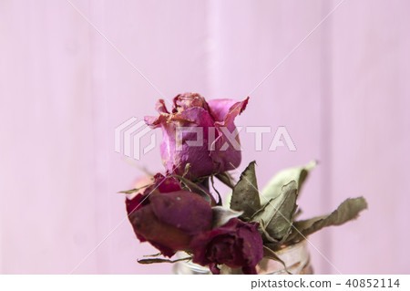 Red rose sear and dried petals Red rose sear and dried petals 40852114