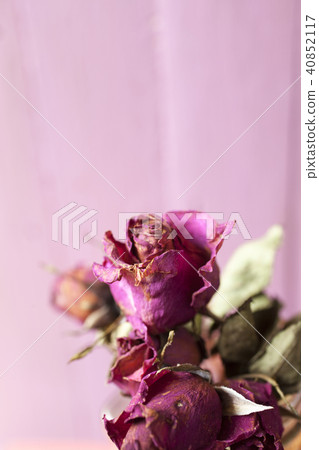 Red rose sear and dried petals Red rose sear and dried petals 40852117