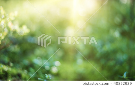 Abstract blur summer landscape 40852929