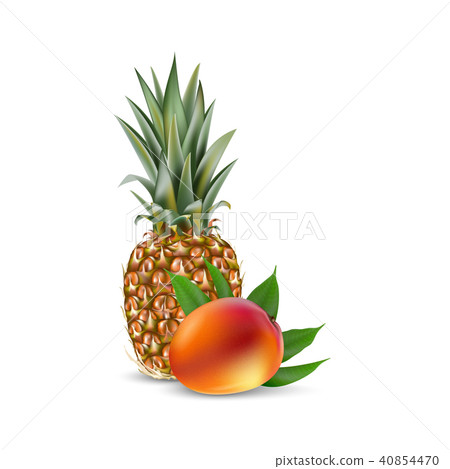 Mango and pineapple. 3d realistic vector EPS 10. 40854470