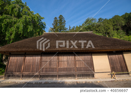 綠化住宅埼玉縣日高市綠化神社 40856697